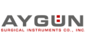 2079156151AYGUN